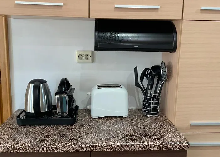 Asinela с гараж 布尔加斯